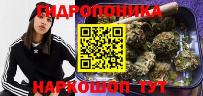 хмурый Партизанск